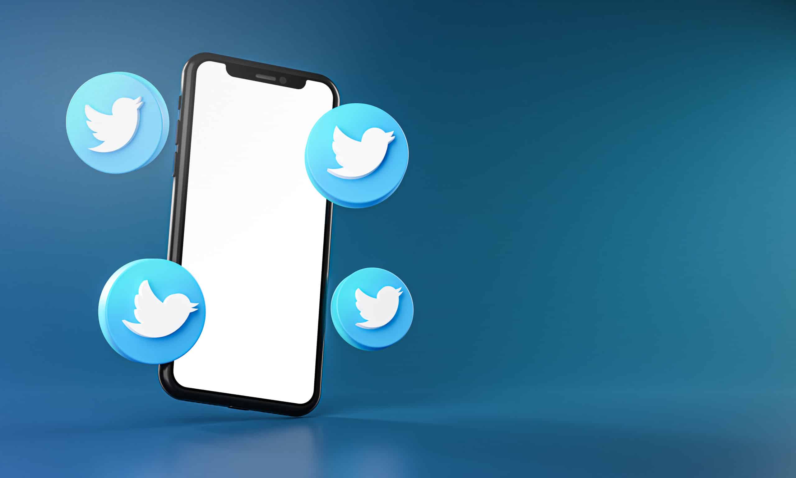 Twitter Icons Around