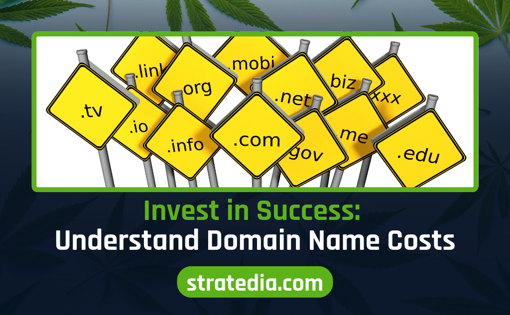 Domain Name Cost