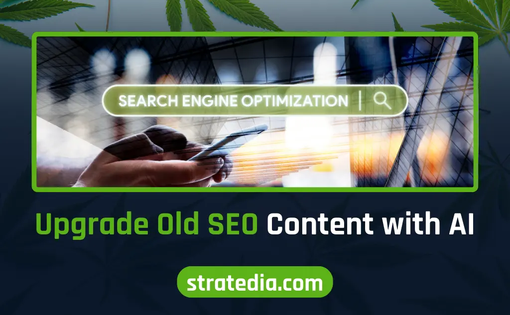 Elevate Your Cannabis Brand with Search Engine Insights
