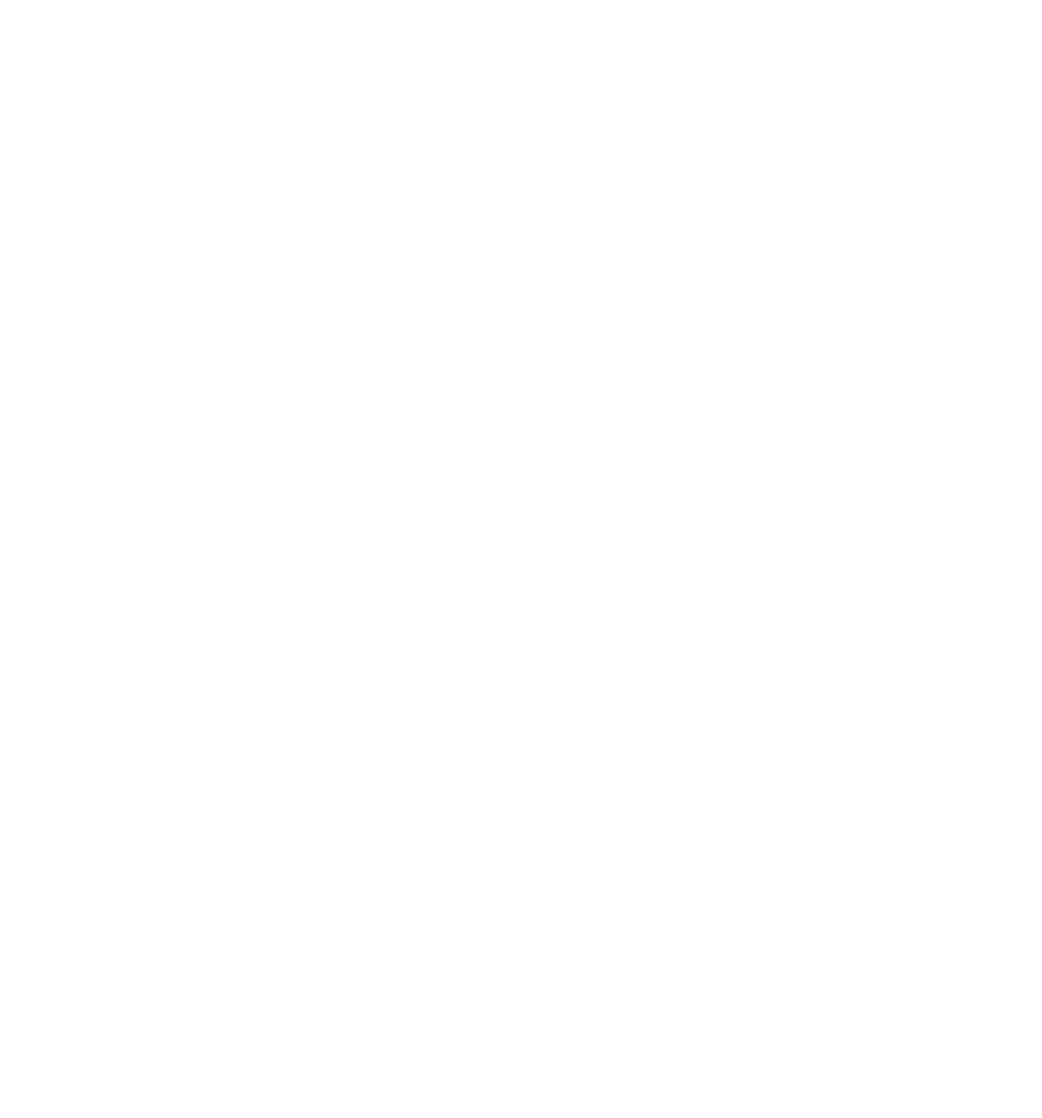 Meta Business Partner