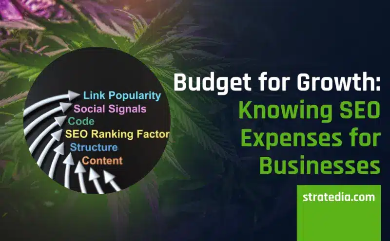 Budget-for-Growth_-Knowing-SEO-Expenses-for-Businesses-800×495.png Budget-for-Growth_-Knowing-SEO-Expenses-for-Businesses