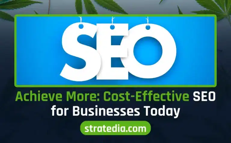 Elevate-Your-Cannabis-Brand-with-Search-Engine-Insights-4-768×475 SEO